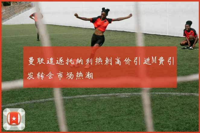 曼联追逐托纳利热刺高价引进M费引发转会市场热潮