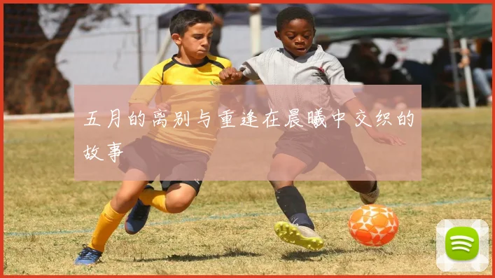 五月的离别与重逢在晨曦中交织的故事